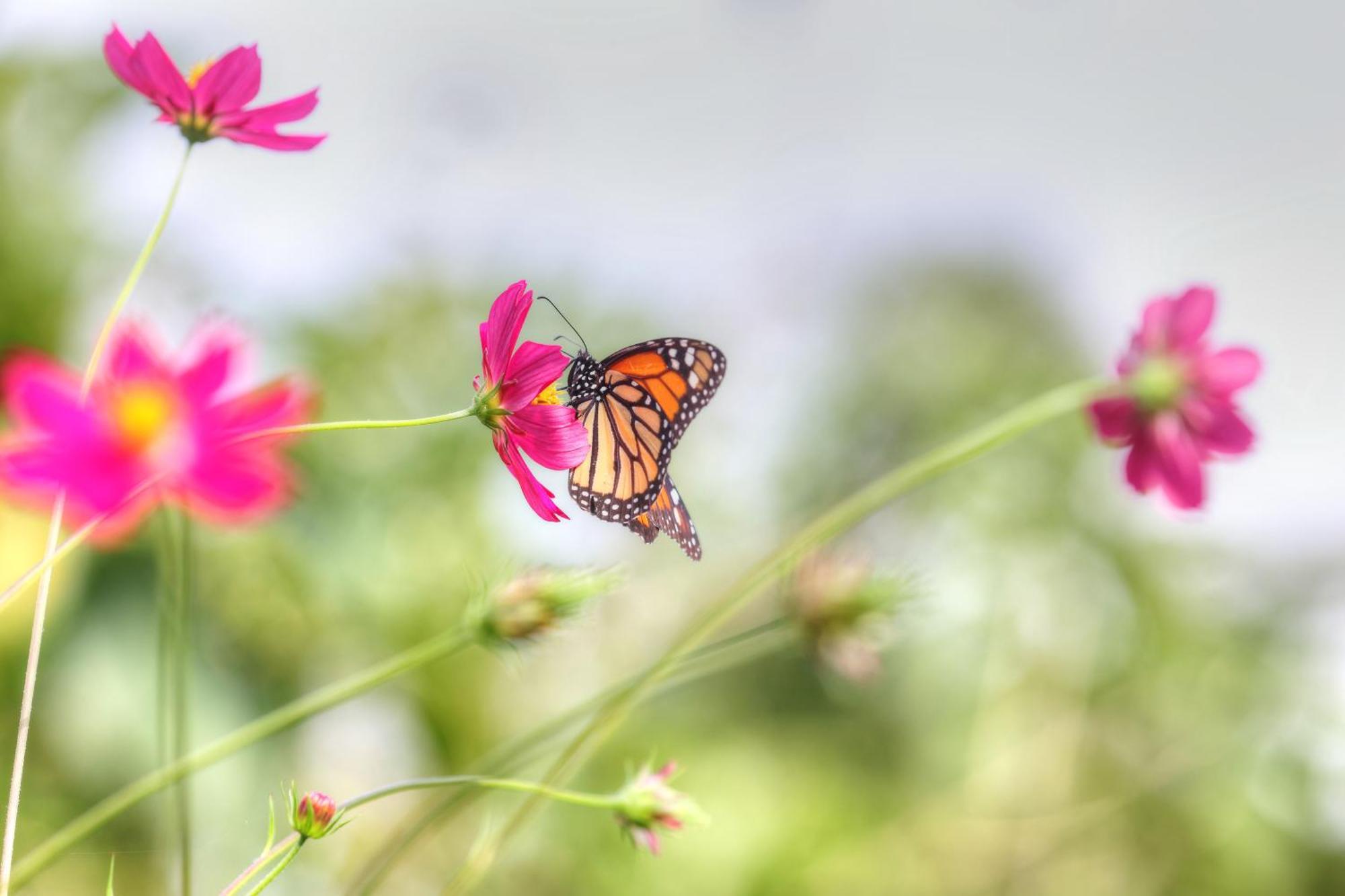 Hadco Experiences At Asa Wright Nature Centre Blanchisseuse Екстер'єр фото