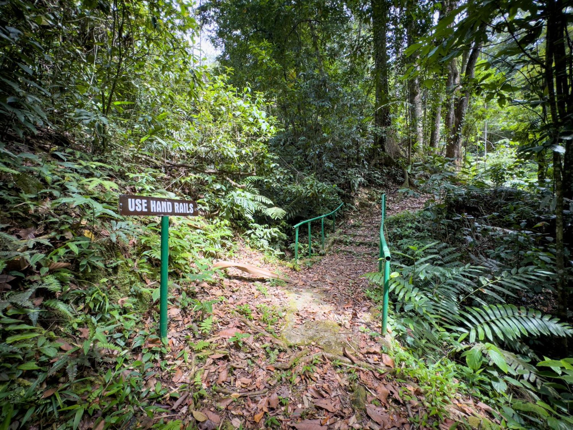 Hadco Experiences At Asa Wright Nature Centre Blanchisseuse Екстер'єр фото