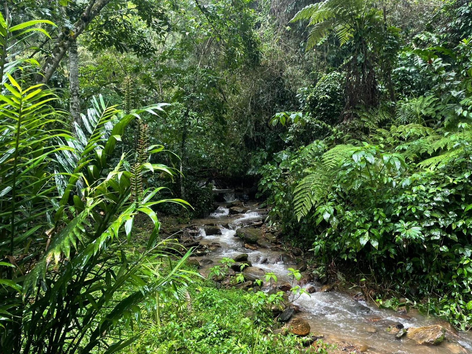 Hadco Experiences At Asa Wright Nature Centre Blanchisseuse Екстер'єр фото