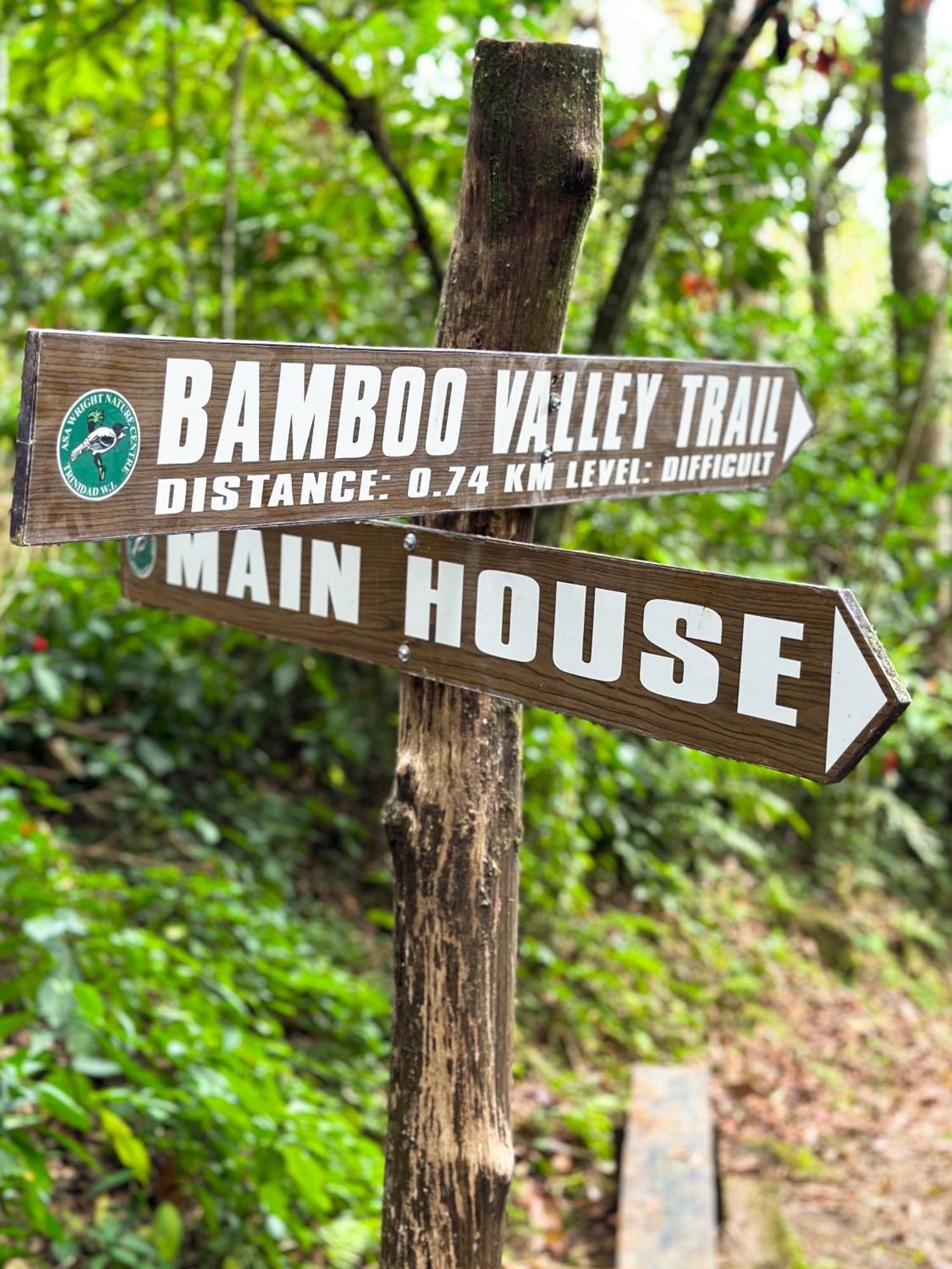 Hadco Experiences At Asa Wright Nature Centre Blanchisseuse Екстер'єр фото